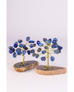 Árvore pedra Ágata azul mini