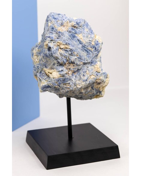 Cianita Azul na Base de Madeira Preta 1,818 gramas