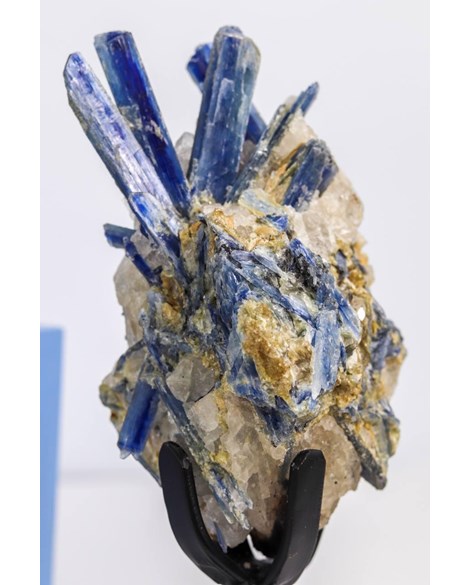 Cianita Azul na Base de Metal Preta 600 gramas