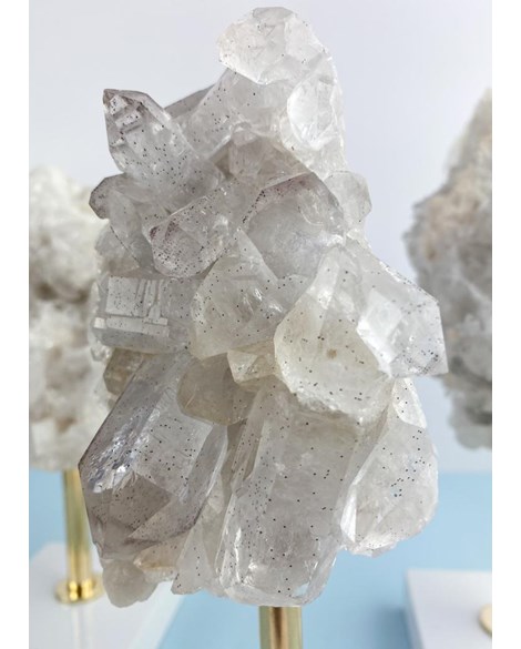 Drusa Cristal de Quartzo com Base Madeira Branca 500 a 797 gramas
