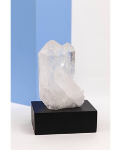 Drusa Cristal na Base de Madeira Preta 432 gramas
