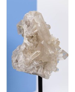 Drusa Cristal na Base de Madeira Preta 463 gramas