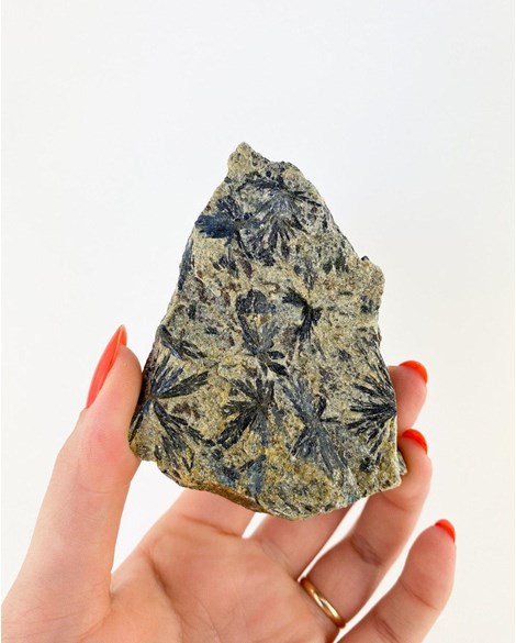 Pedra Actinolita na Matriz bruta 178 gramas aprox.