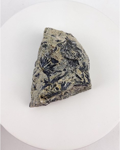 Pedra Actinolita Xisto na Matriz bruta 123 gramas