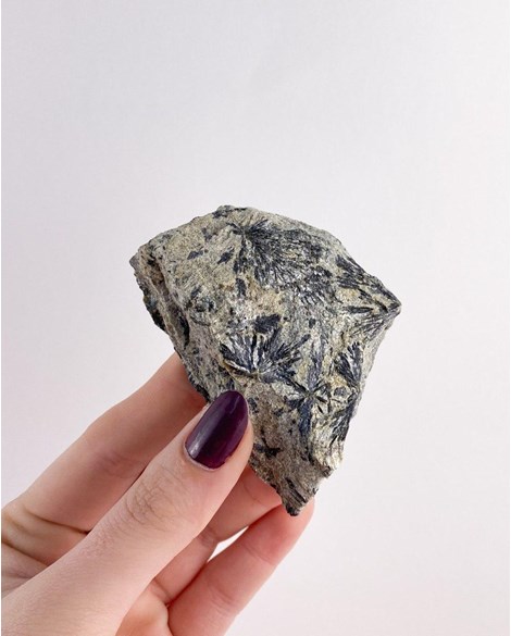 Pedra Actinolita Xisto na Matriz bruta 123 gramas