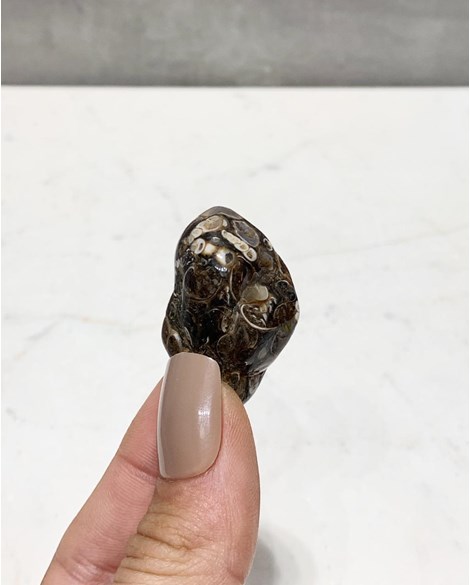 Pedra Ágata Turitela Rolada 11 a 14 gramas