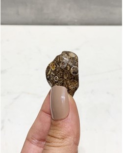 Pedra Ágata Turitela rolada 9 a 12 gramas