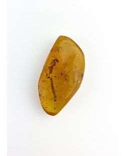 Pedra Âmbar Polido Copal 13 gramas