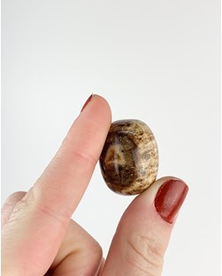 Pedra Aragonita Rolada 15 a 19 gramas
