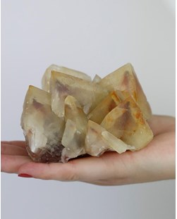 Pedra Calcita Mel Dente de Cão Bruta (Coleção) 618 gramas