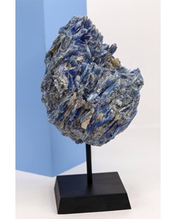 Pedra Cianita Azul Bruta Na Base de Madeira Preta 1,687Kg