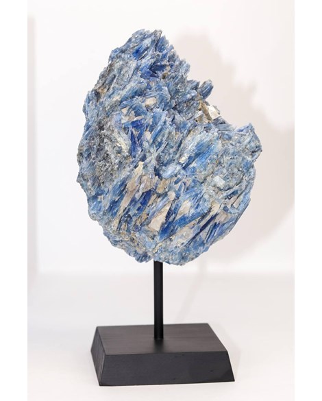 Pedra Cianita Azul Bruta Na Base de Madeira Preta 1,687Kg