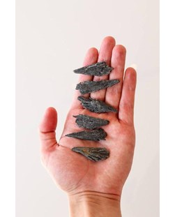 Pedra Cianita preta bruta 6 a 11 gramas