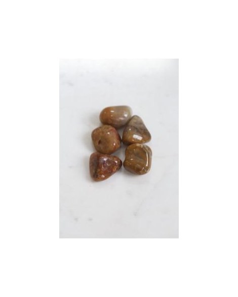 Pedra Coprolita Rolada  13 a 16 gramas
