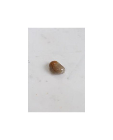 Pedra Coprolita Rolada  13 a 16 gramas