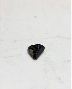 Pedra do Vaticano rolada 4 a 5 gramas