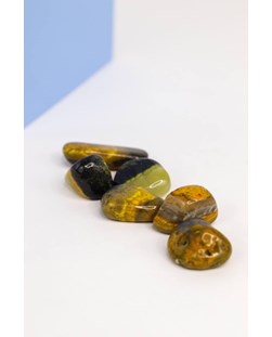 Pedra Jaspe Mamangaba (Bumblebee Jasper) Rolado 6 a 7 gramas