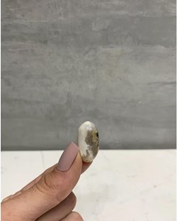 Pedra Jaspe Oceânico Orbicular Rolado 7 a 10 gramas
