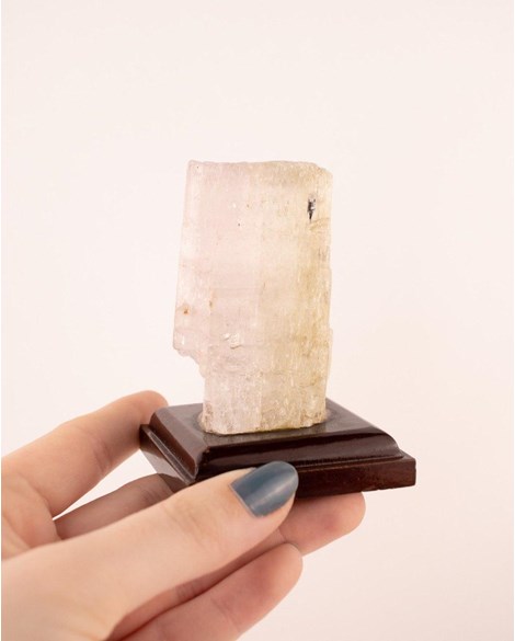 Pedra Kunzita Bruta Coleção na Base de Madeira Marrom 190 gramas