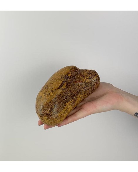 Pedra Leopardita Forma Livre Polida 1,155 Kg