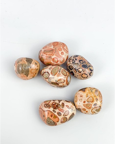 Pedra Leopardita Rolada 18 a 22 gramas