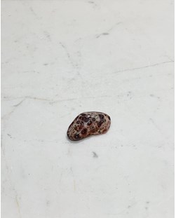 Pedra Leopardita Rolada 8 a 11 gramas
