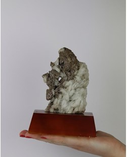 Pedra Mica com Albita Bruta na Base de Madeira Marrom (coleção) 562 gramas