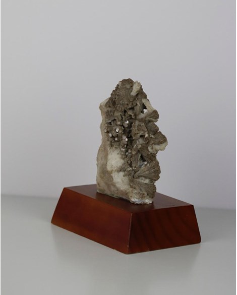 Pedra Mica com Albita Bruta na Base de Madeira Marrom (coleção) 562 gramas