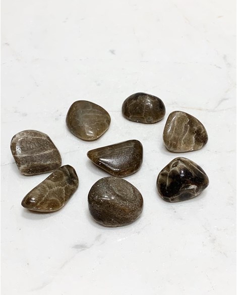 Pedra Petroskey rolada(Pedra do Sol Nascente)6 a 8 gramas
