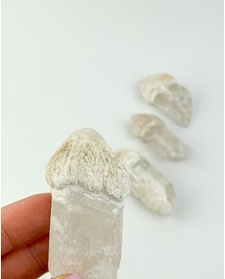 Pedra Ponta Cristal de Quartzo Cetro bruta 40 a 60 gramas