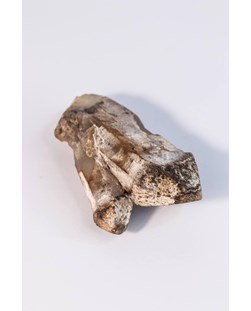 Pedra Ponta Cristal de Quartzo Cetro Bruto 235 gramas