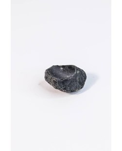 Pedra Tectito Meteorito Bruto 14 a 17 gramas
