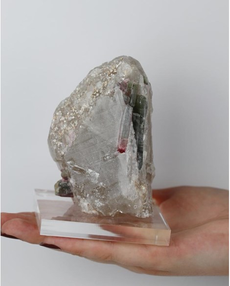 Pedra Turmalina Melancia no Quartzo com Mica na Base Acrílico 345 gramas